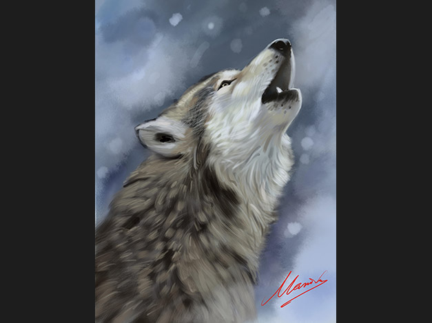 Wolf